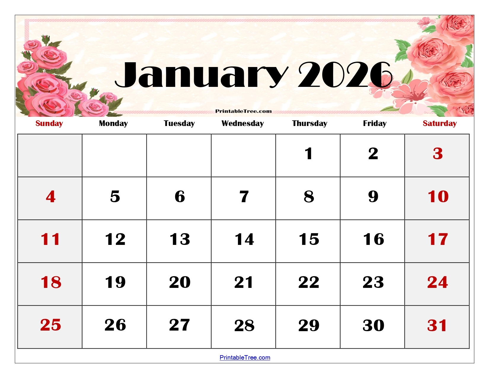 January 2026 Calendar Activities