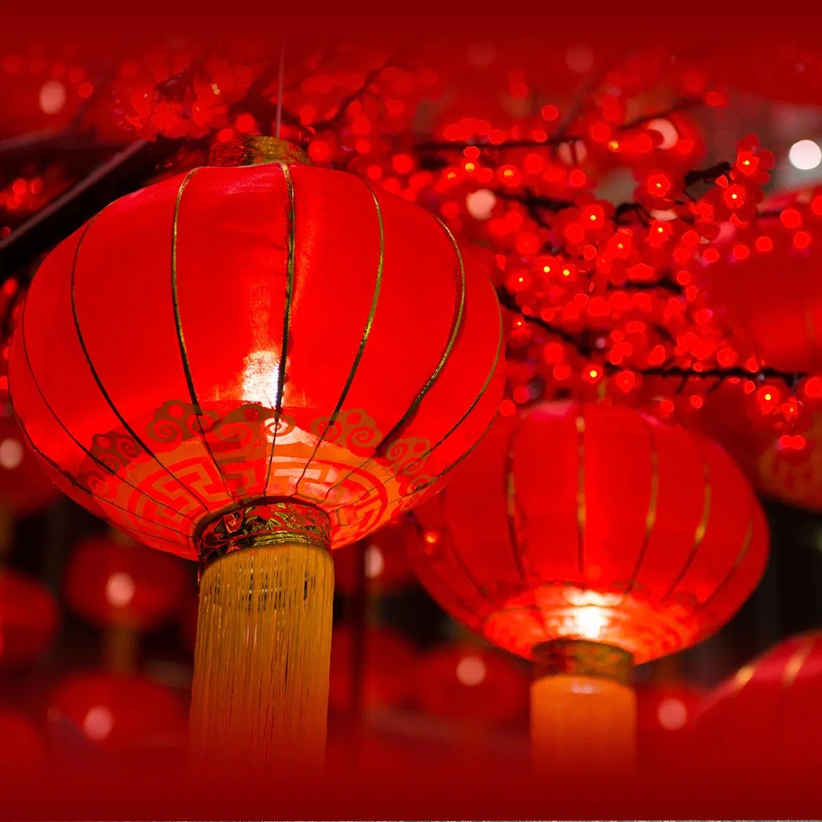 CHINESE LUNAR NEW YEAR S DAY February 17 2026 National Today