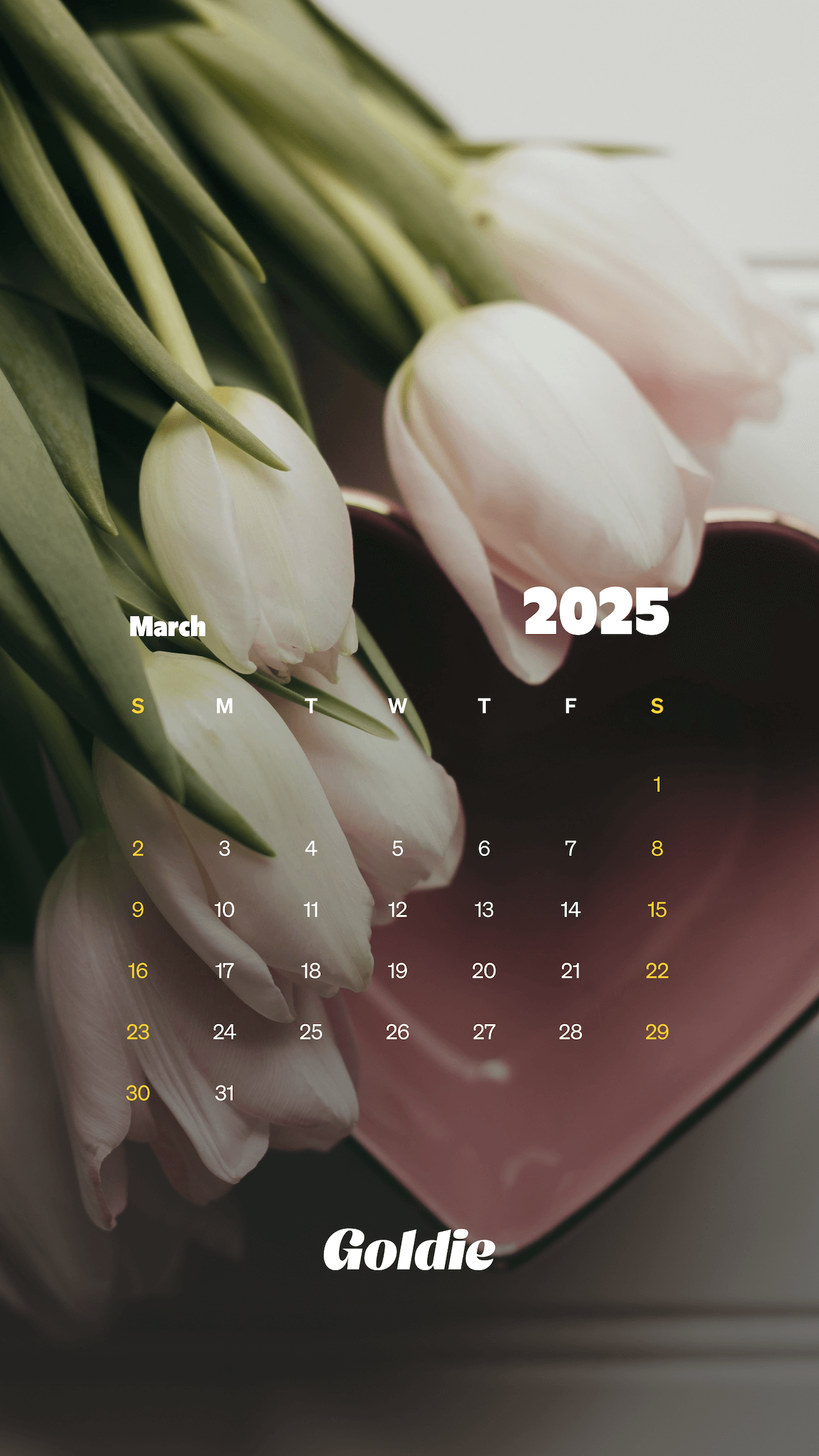 Free March 2025 Calendar Wallpapers Desktop U0026 Mobile