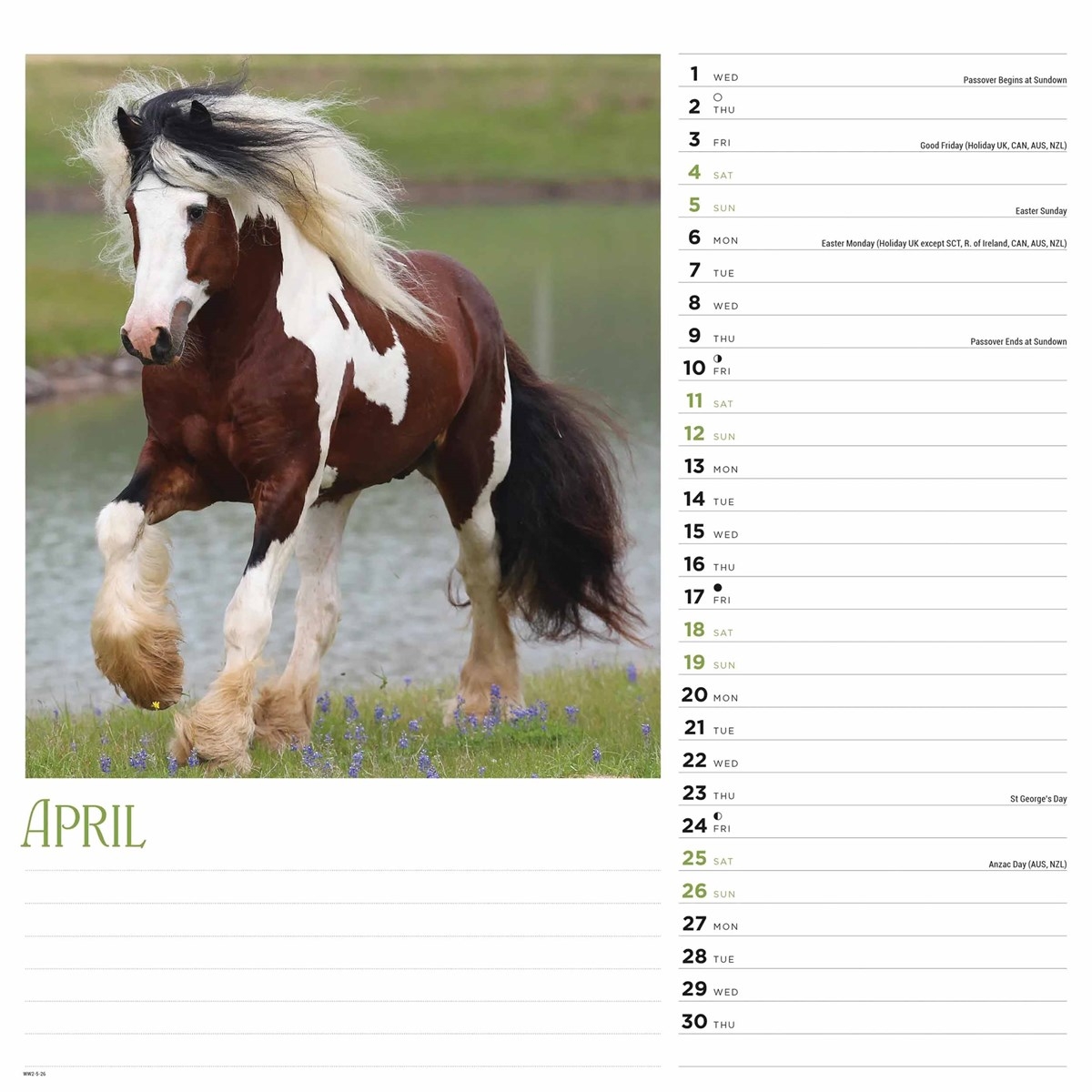 Horses Calendar 2026