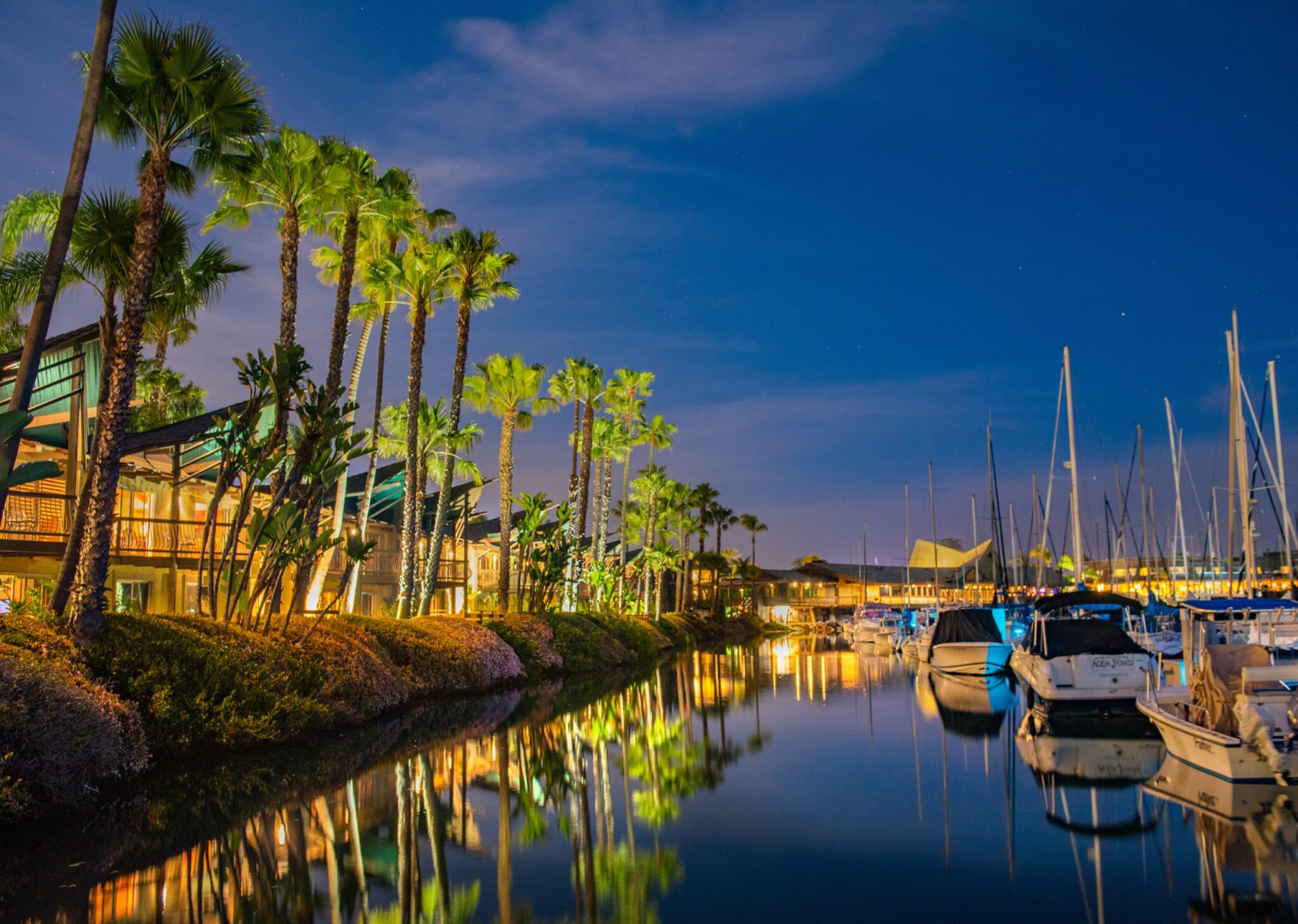 San Diego Calendar Of Events January 2026