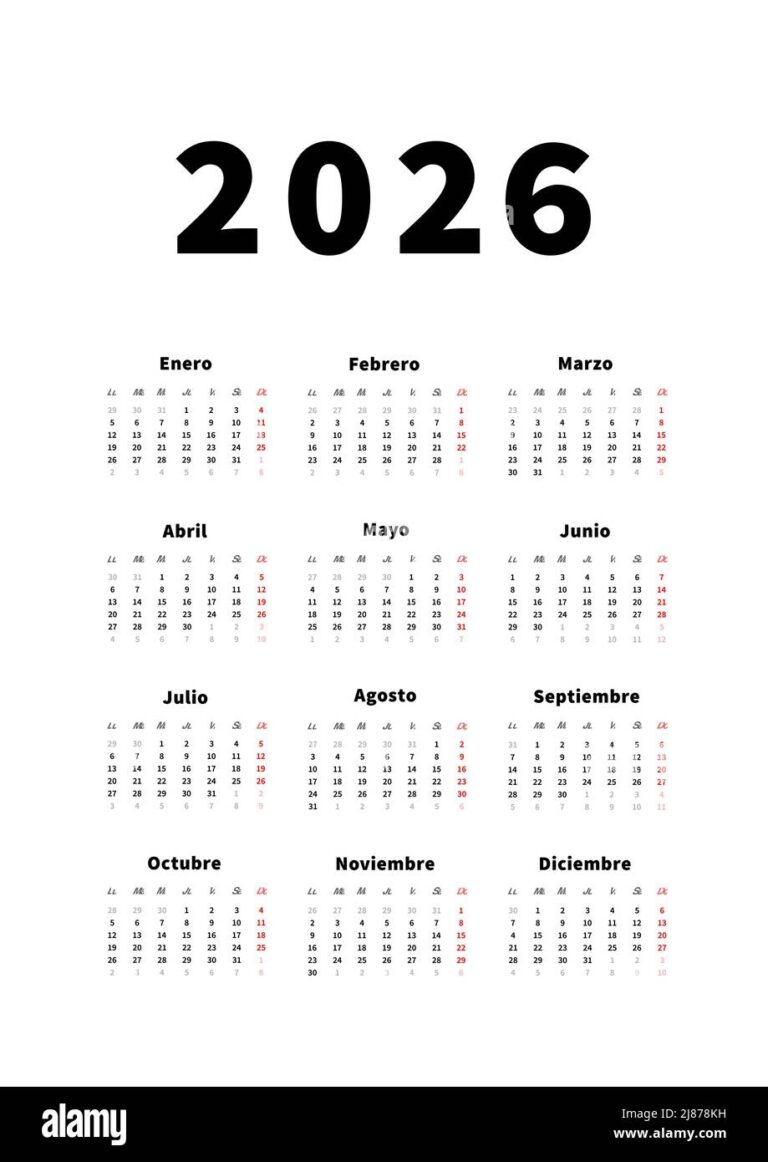 2026 Year Simple Vertical Calendar In Spanish Language 